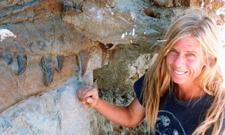 Sue Hendricksont